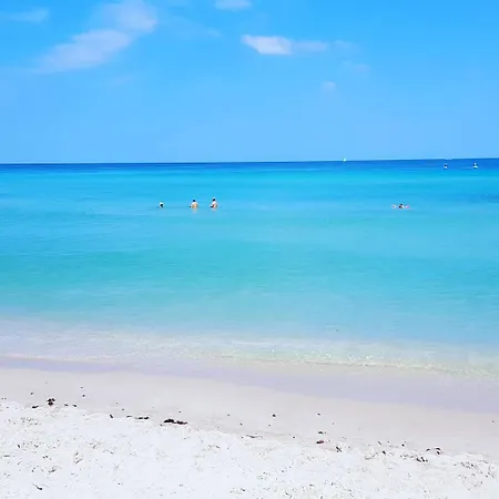 Miami Hollywood Bay View On The Beach 002-1Bvic